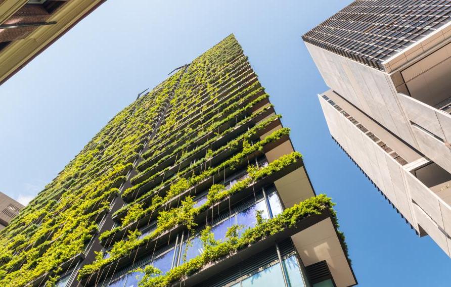 Skyscraper with green vegetation along balconies