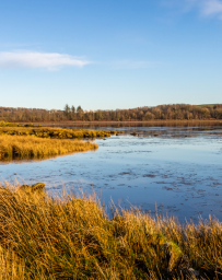 Saltmarsh Carbon Code